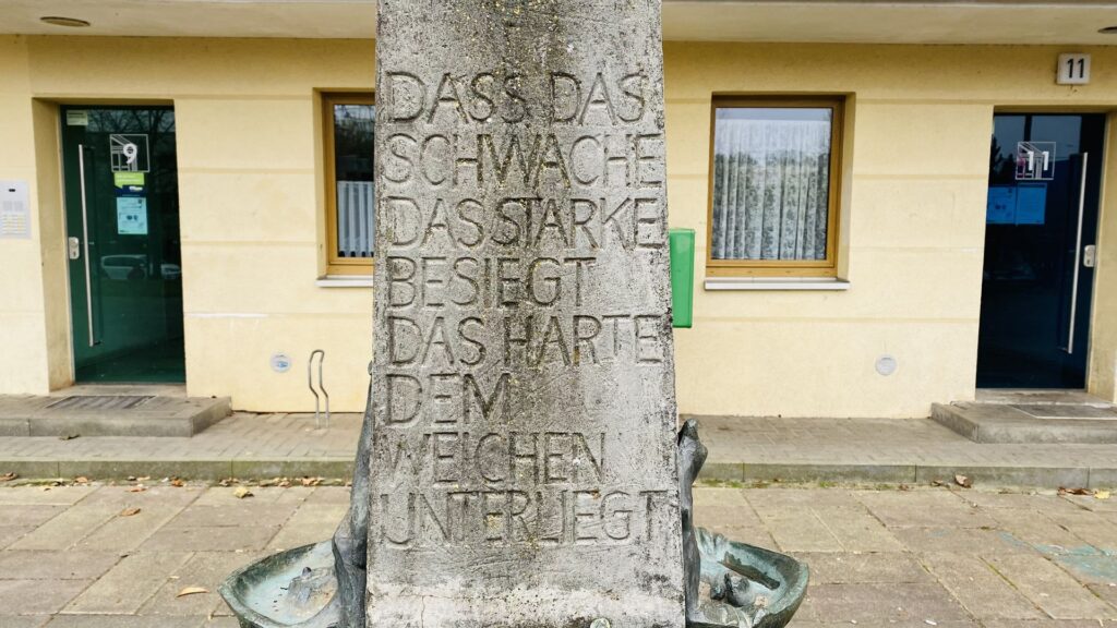 Matthias_SchäferIMG_2254
